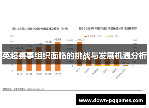 英超赛事组织面临的挑战与发展机遇分析