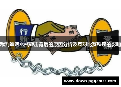 裁判遭遇水瓶砸击背后的原因分析及其对比赛秩序的影响