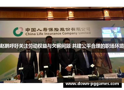 赵鹏呼吁关注劳动权益与欠薪问题 共建公平合理的职场环境