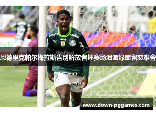恩德里克帕尔梅拉斯告别解放者杯赛场泪洒绿茵留恋难舍 恩德里克帕尔梅拉斯告别解放者杯赛场泪洒绿茵留恋难舍