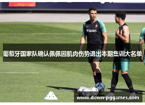 葡萄牙国家队确认佩佩因肌肉伤势退出本期集训大名单 葡萄牙国家队确认佩佩因肌肉伤势退出本期集训大名单